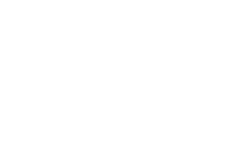 Sports Mania